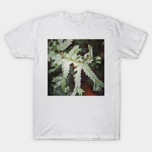 Spiky fern T-Shirt